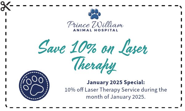 Prince William January 2025 Promo coupon