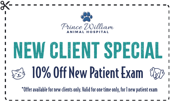 New Client Promo - 10% Off New Patient Exam