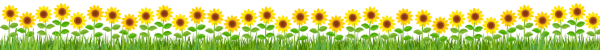 Cartoon sunflowers in grass