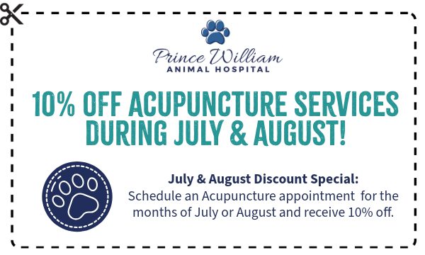 Prince William Acupunture Coupon