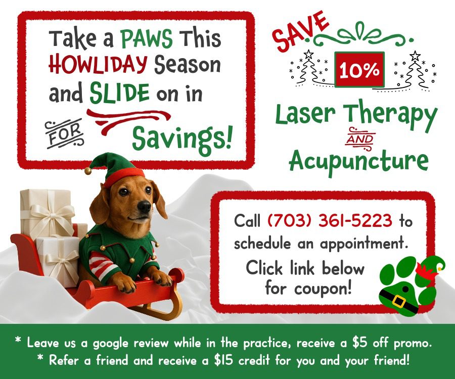 Pop-up promo for December 2025 - save 10% off laser therapy and acupuncture