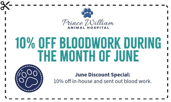 Prince William monthly Promo Coupons 3